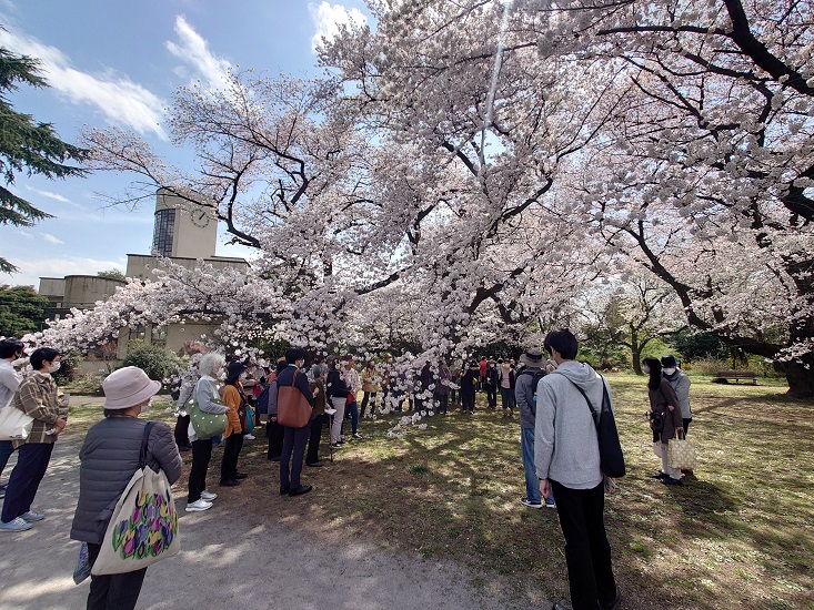 小石川植物園「お花見特別招待2022」を実施しました